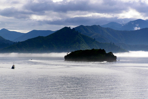 Marlborough Sounds from ferry